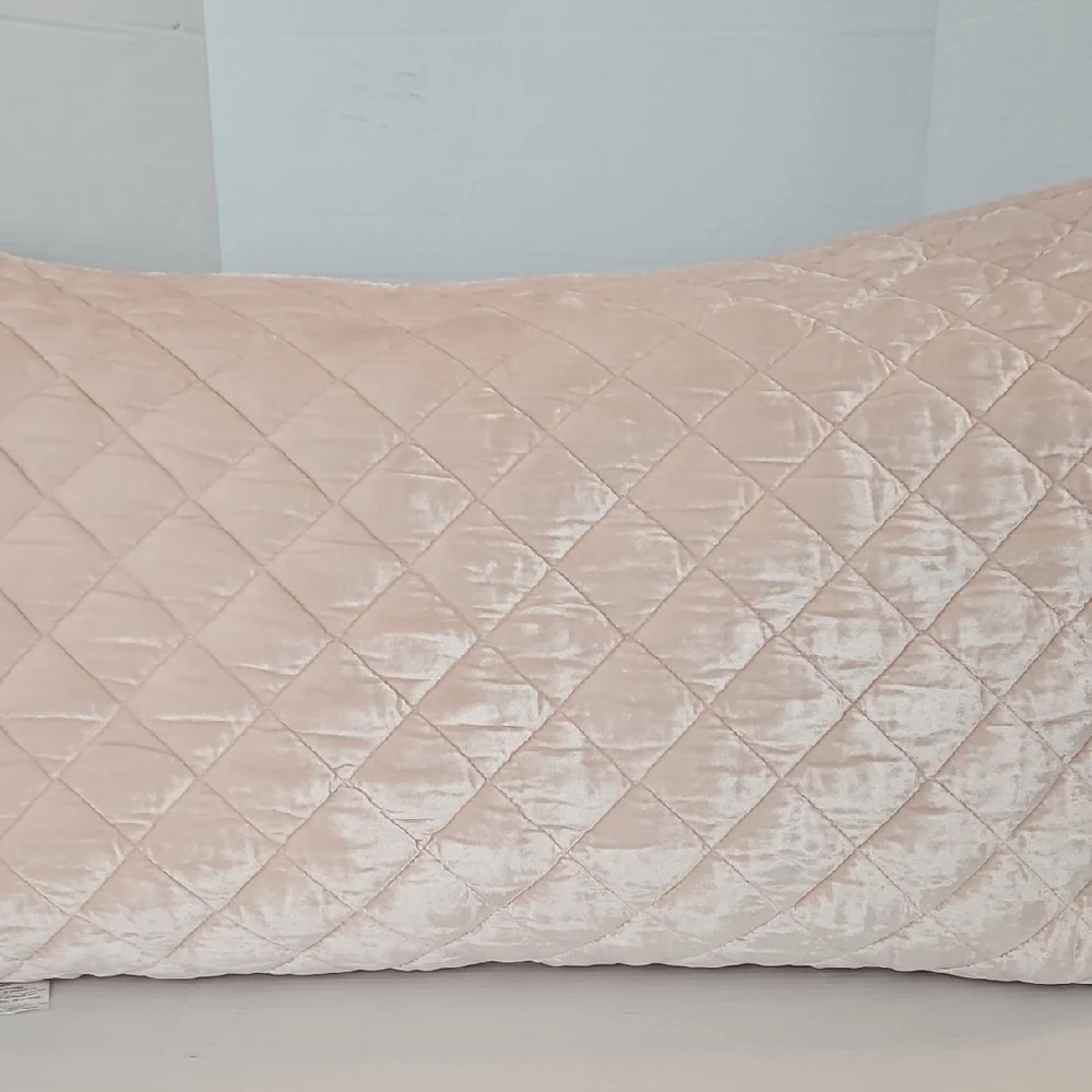 Pottery Barn Quilted Velveteen Champagne Pink King Pillow Sham